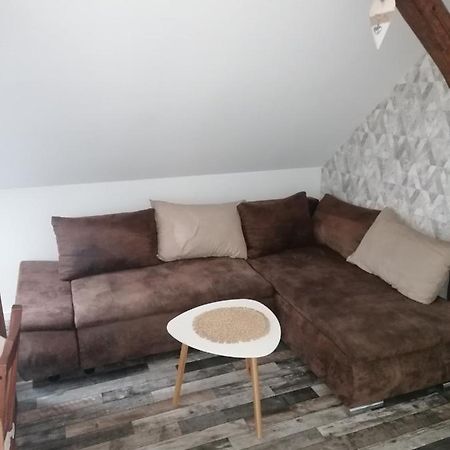 Ferienwohnung IV Sarrebriese Wanzleben-Borde エクステリア 写真