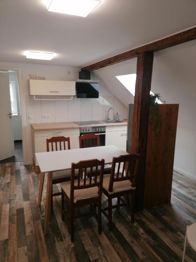 Ferienwohnung IV Sarrebriese Wanzleben-Borde エクステリア 写真