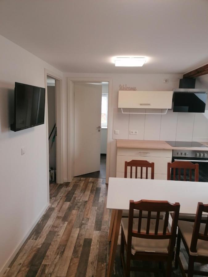 Ferienwohnung IV Sarrebriese Wanzleben-Borde エクステリア 写真