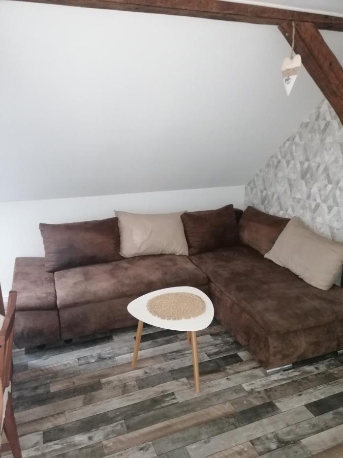 Ferienwohnung IV Sarrebriese Wanzleben-Borde エクステリア 写真