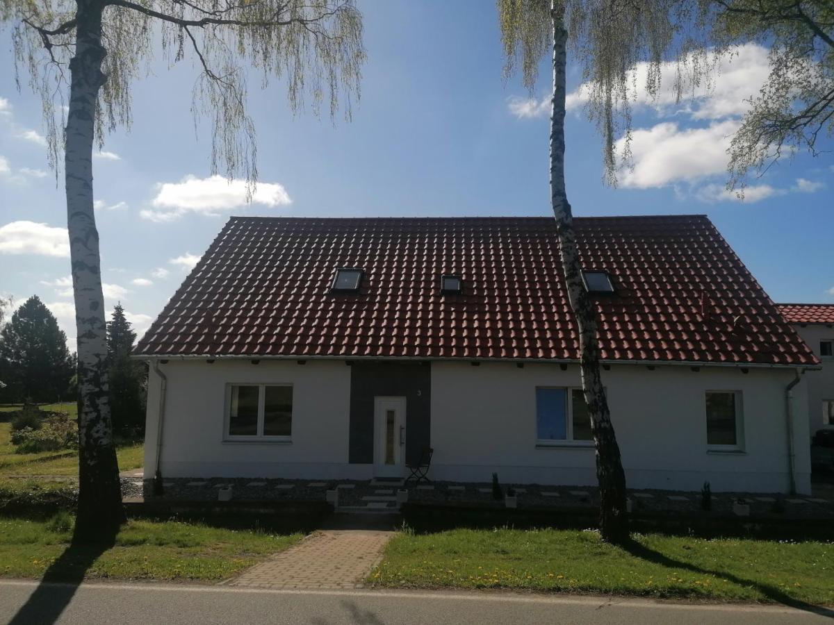 Ferienwohnung IV Sarrebriese Wanzleben-Borde エクステリア 写真