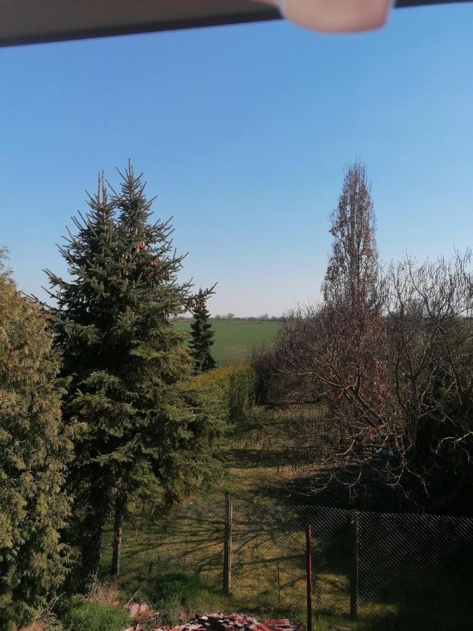 Ferienwohnung IV Sarrebriese Wanzleben-Borde エクステリア 写真