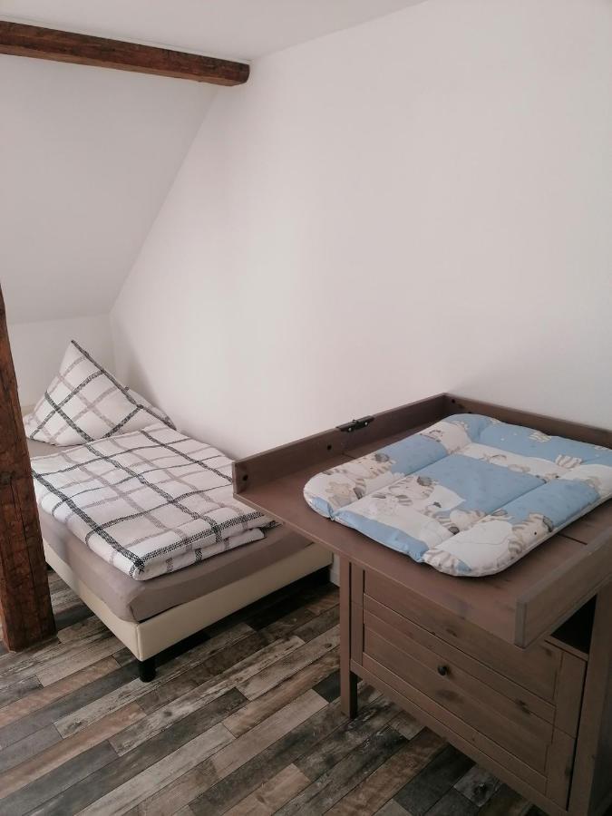 Ferienwohnung IV Sarrebriese Wanzleben-Borde エクステリア 写真
